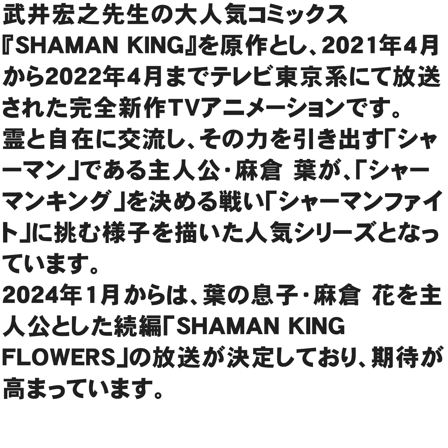 SHAMAN KING 紹介文
